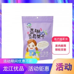 【特惠商品】大兴安岭特产 蓝珊蓝莓果干 200g 果肉醇厚，颗粒完整 包邮