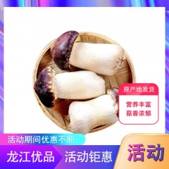 【特惠商品】绥化特产 赤松茸 2.5KG/箱 营养丰富，菇香浓郁 包邮