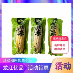 龙江特产 金穗子玉米 10棒 新鲜味美，口感软糯 包邮