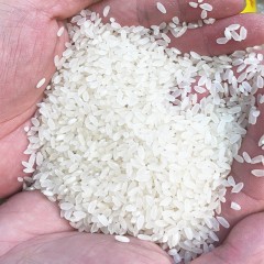 龙江特产 双满意长粒香米 5kg 米粒晶莹剔透、营养丰富 包邮
