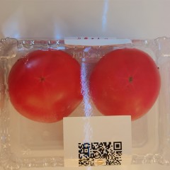 【特惠商品】内蒙土默特左旗特产 阿勒坦口儿爽西红柿 水果番茄 2kg 肥厚多汁，沙瓤细腻 包邮