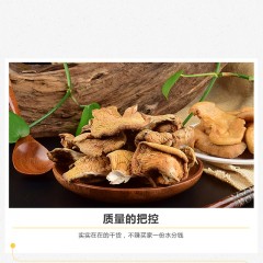 佳木斯市桦南县特产 紫津坊元蘑 160g 菌伞完整，肉质厚实 包邮