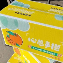 爱媛果冻橙 80果/箱 新鲜当季水果柑橘蜜桔子整箱大果 包邮