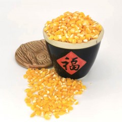 龙江特产 小园玉米大碴子、中碴子 3斤  包邮