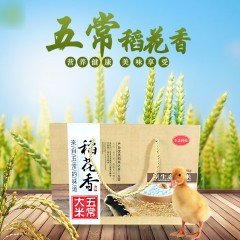五常特产 稻花香大米礼盒 5kg 原生态大米 包邮