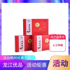 龙江特产 寒芝灵芝孢子粉 1g*100袋/盒 人工种植 包邮