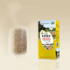 抚远特产 东极小镇发芽糙米500g*2盒