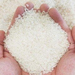 龙江特产 博泽容 四色文化珍珠米 2.5kg 米质油润、味道香甜 包邮