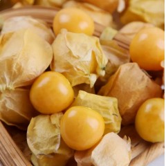 青冈 冰河印象菇娘果（5斤中小果）