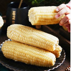 青冈 辰旭稼禾白糯玉米